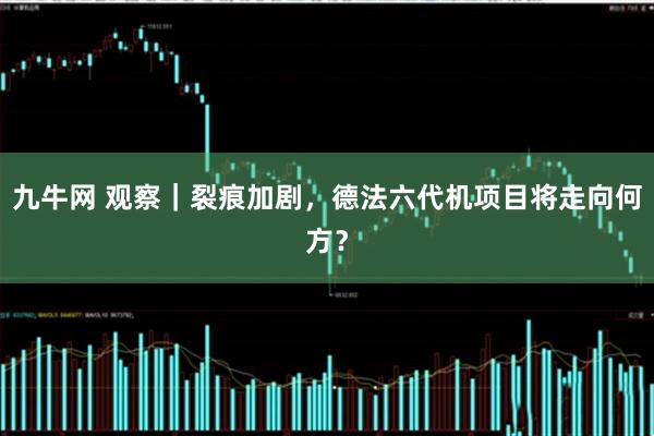 九牛网 观察｜裂痕加剧，德法六代机项目将走向何方？