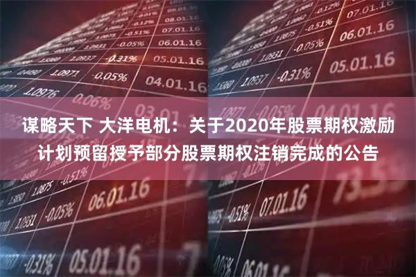 谋略天下 大洋电机：关于2020年股票期权激励计划预留授予部分股票期权注销完成的公告