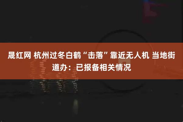 晟红网 杭州过冬白鹤“击落”靠近无人机 当地街道办：已报备相关情况