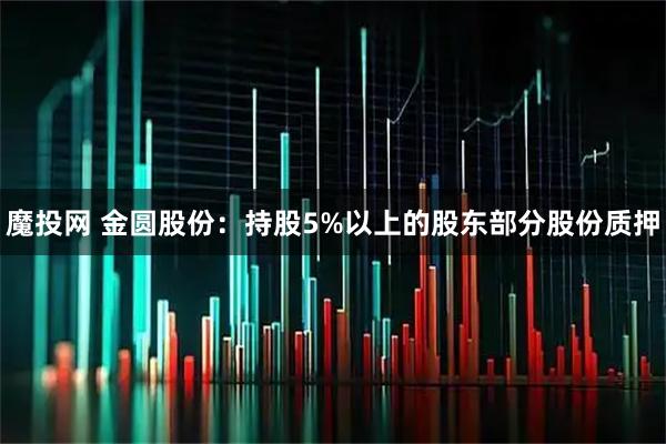 魔投网 金圆股份：持股5%以上的股东部分股份质押