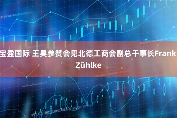宝盈国际 王昊参赞会见北德工商会副总干事长Frank Zühlke