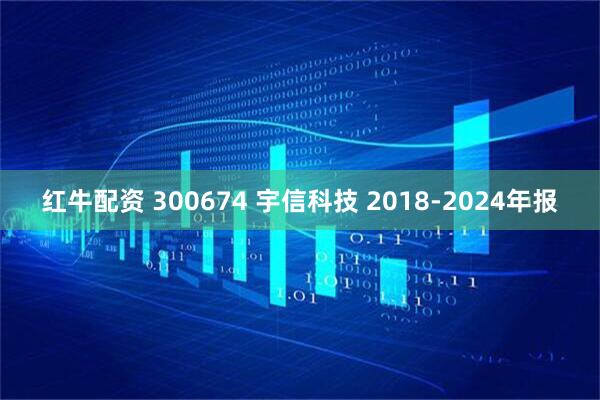 红牛配资 300674 宇信科技 2018-2024年报